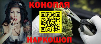 гидра Брянск
