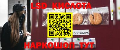 гидра Брянск