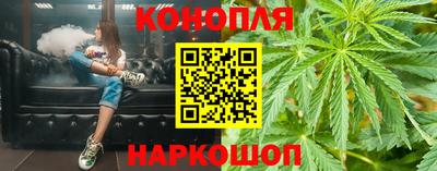 гидра Брянск