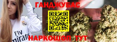 гидра Брянск
