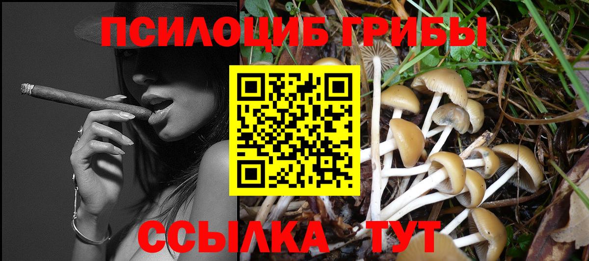 Галлюциногенные грибы ЛСД Белореченск