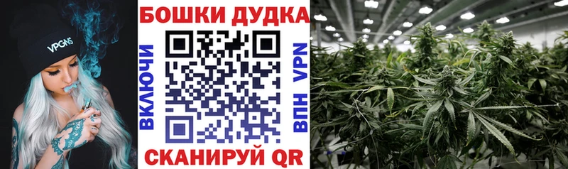 нарко площадка Telegram  Белореченск  Шишки марихуана марихуана  как найти наркотики 